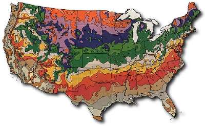Image of... USDA Plant Hardiness Zone Map